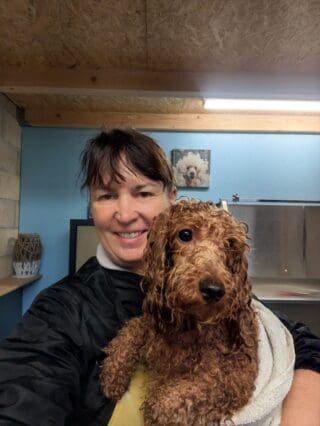 Salon de toilettage - Caniche nain